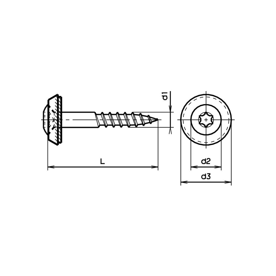 Linsensenk-Fassadenschrauben mit Cuvette u.Scheibe T A2 4,5x80