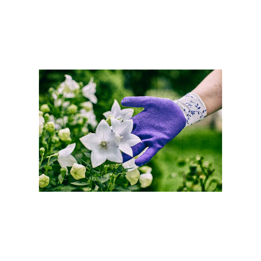 GEBOL Gartenhandschuh Flower lila 8