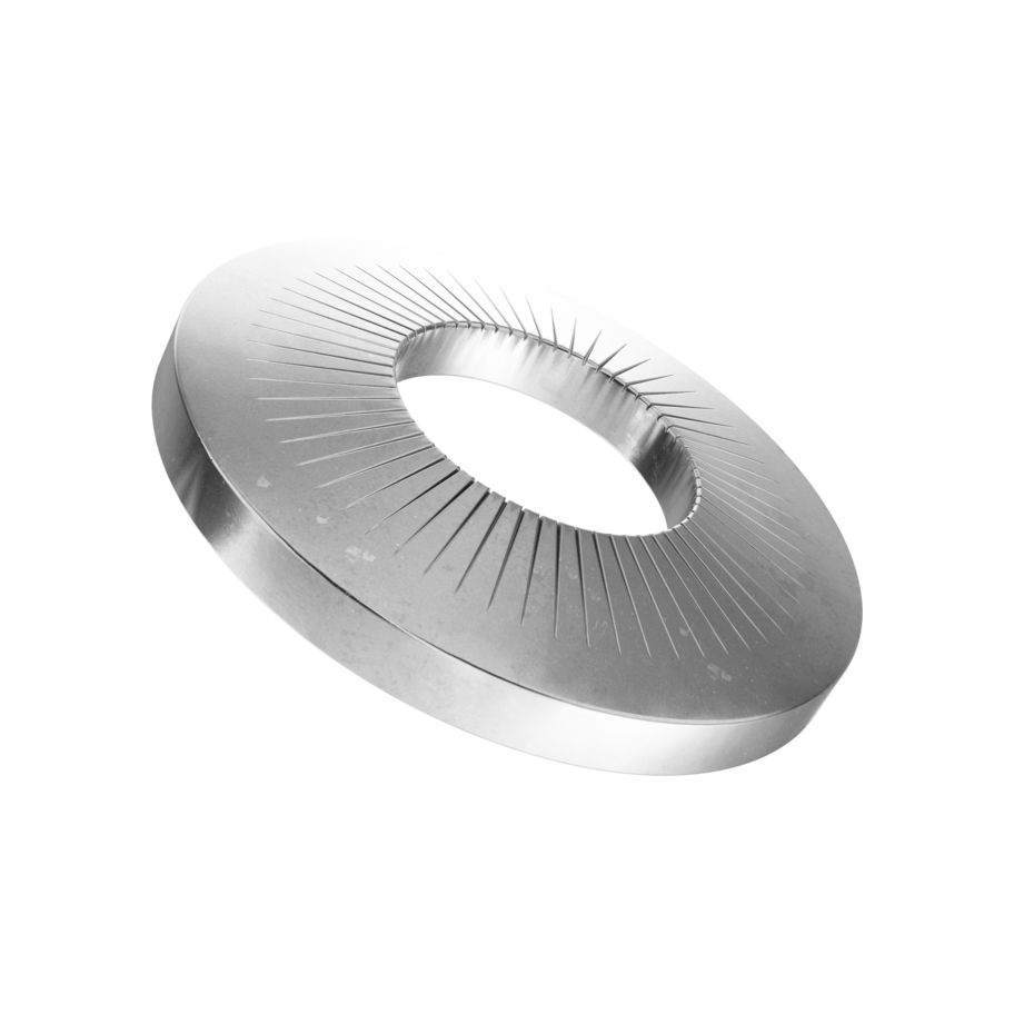 RIP SiSche A2,6,1/18/1,4,1000