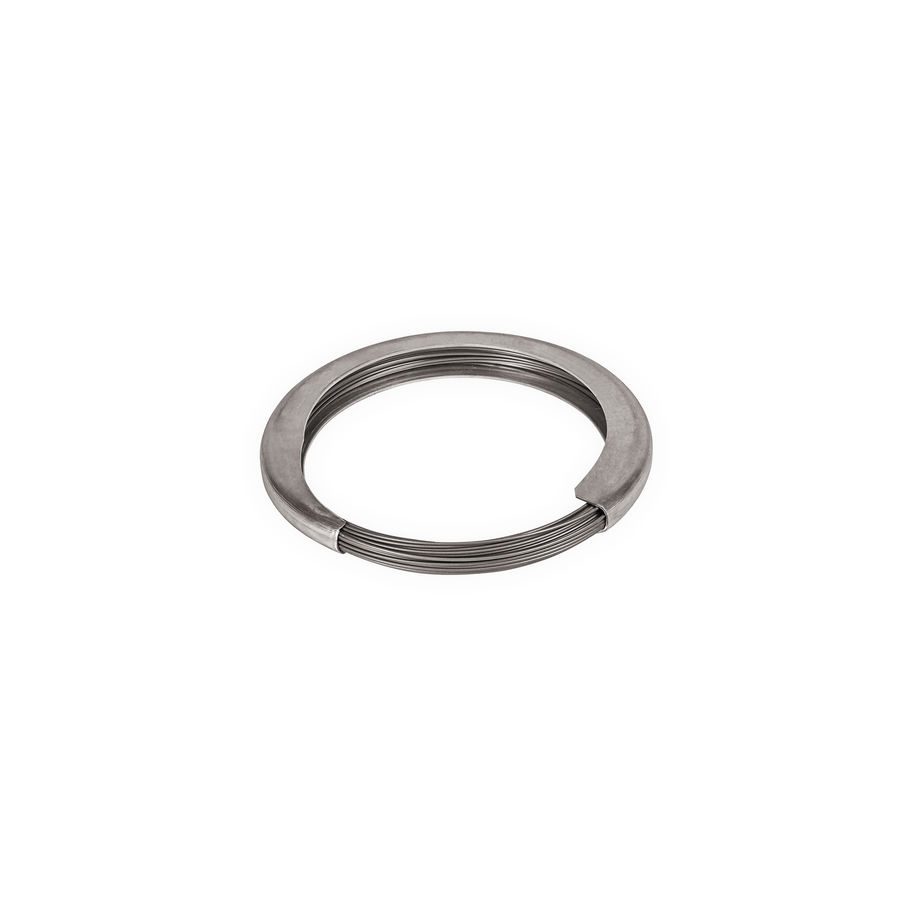 BP Federstahldraht 0.6x34 1St