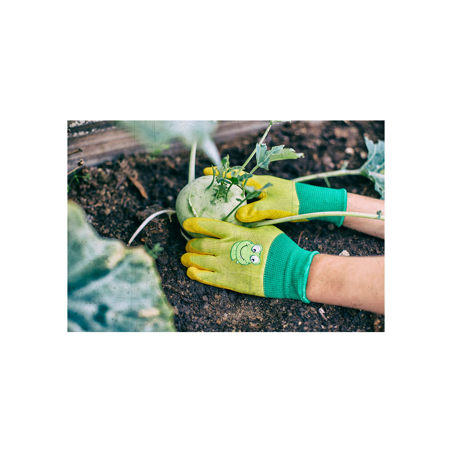 GEBOL Kinderhandschuh Froggy