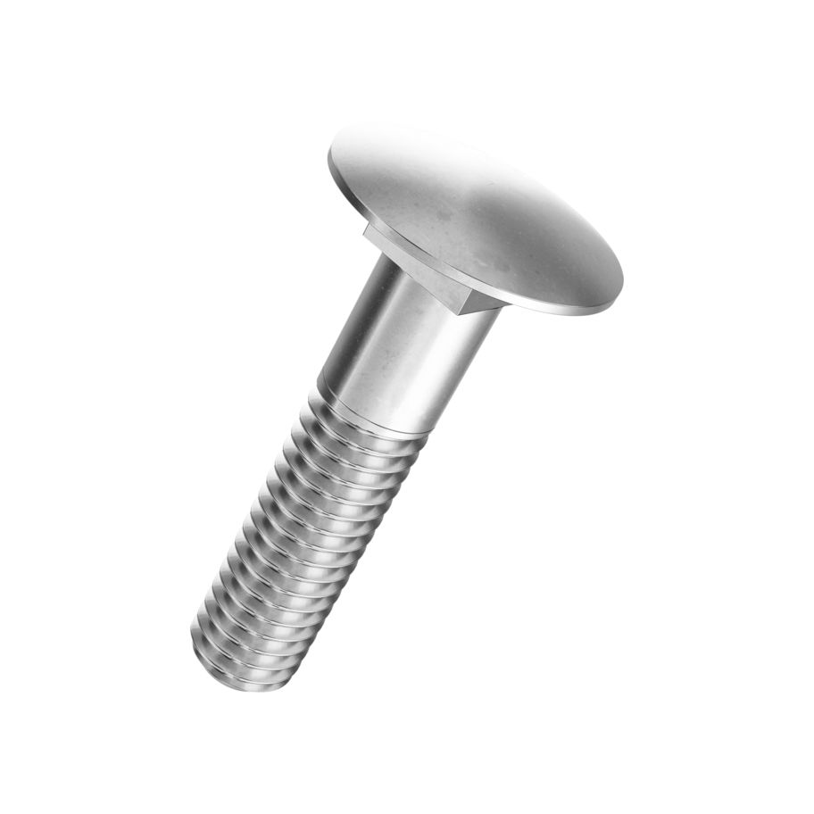 FlRuSchr Sch o Mu DIN603-A2,M6x60,200