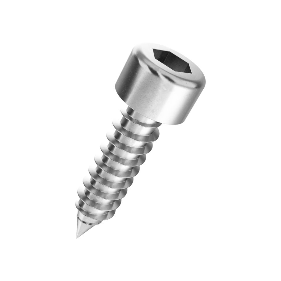 ZBlSchr I6Kt Ko~DIN912C-A2,6,3x22,100