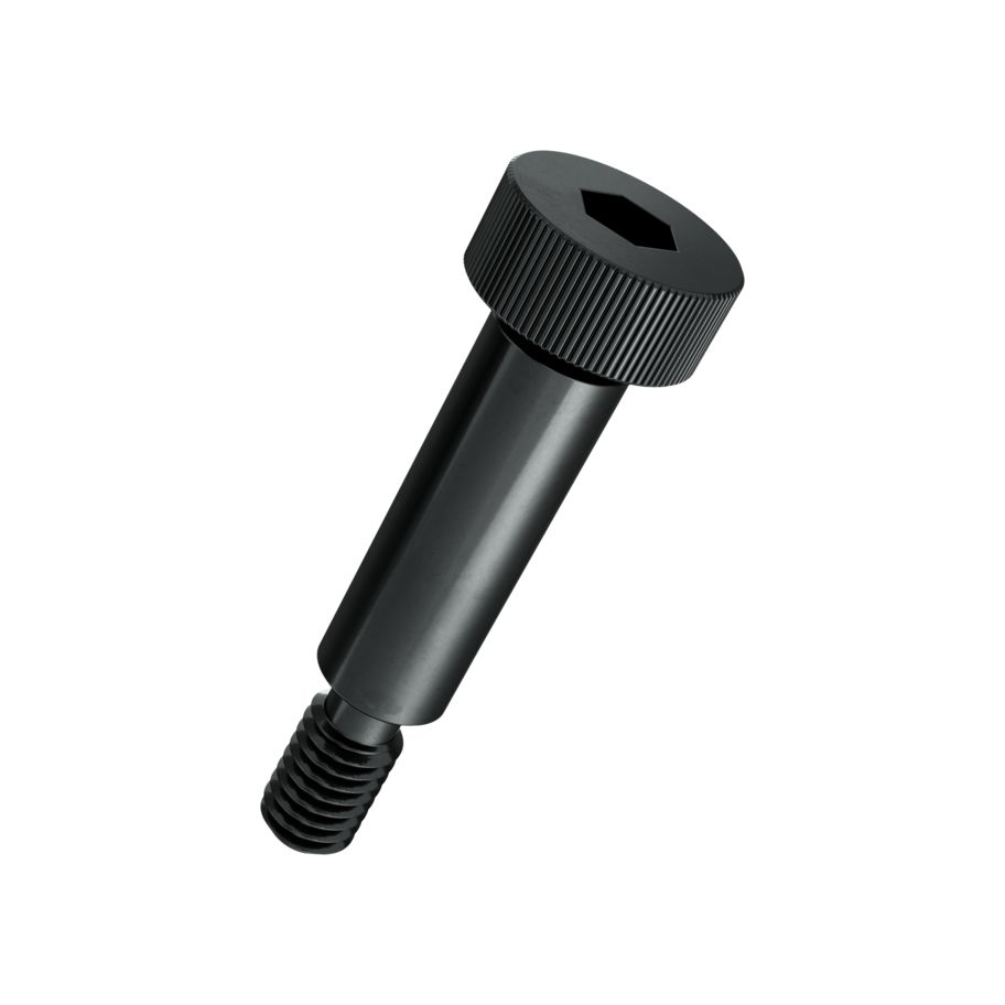 PaSchuSchr I6Kt ISO7379-St,20x30/M16,10